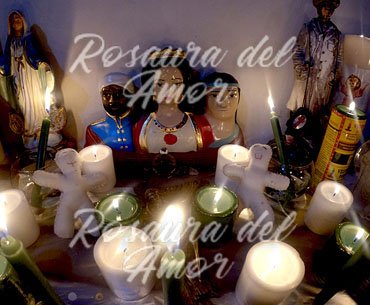 maestra del amor Rosaura