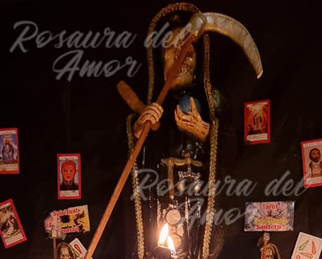 maestra del amor Rosaura