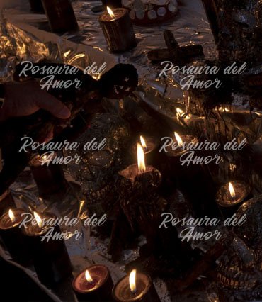 maestra del amor Rosaura