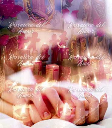 maestra del amor Rosaura