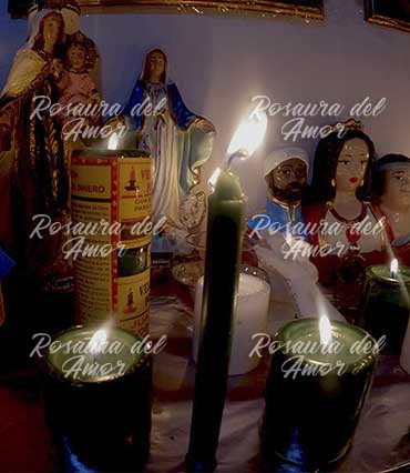 maestra del amor Rosaura