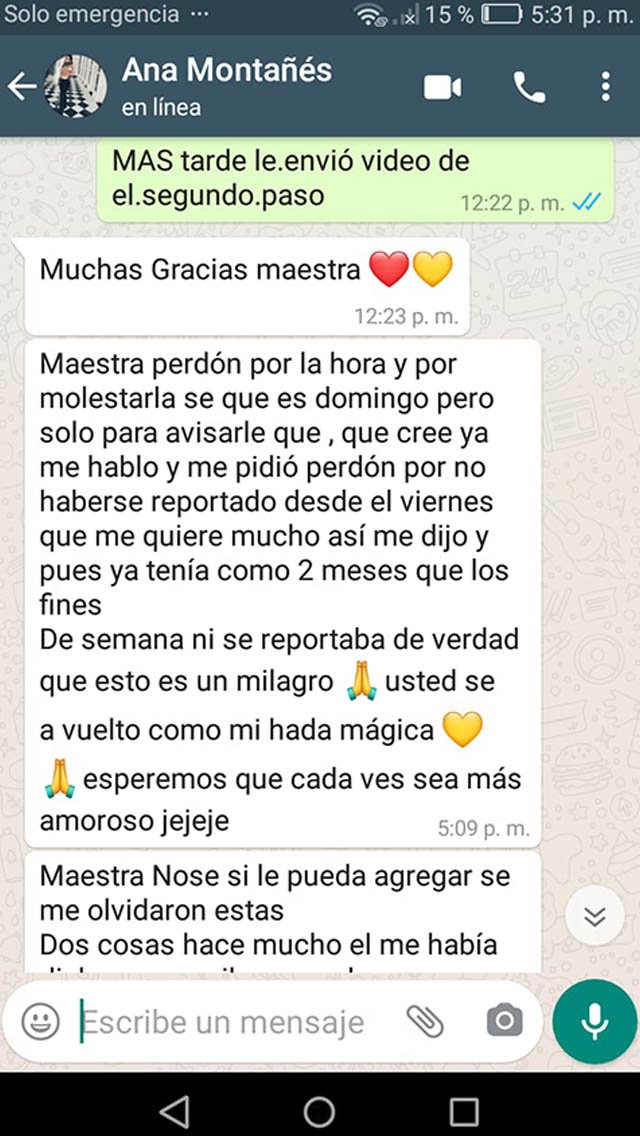 maestra del amor Rosaura