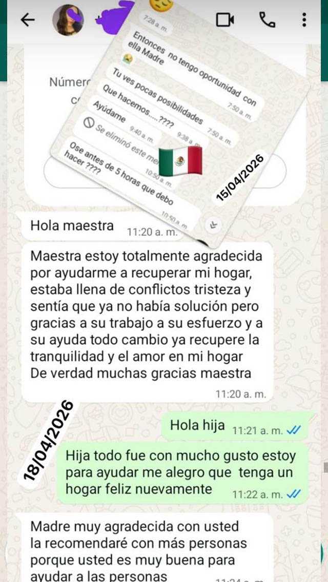 maestra del amor Rosaura